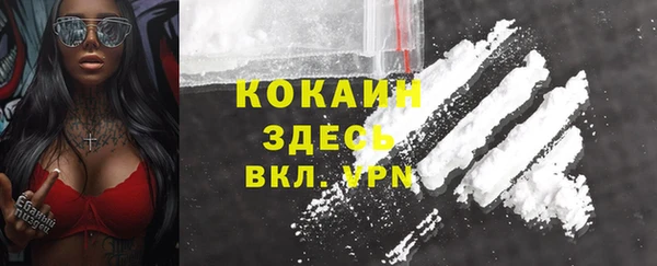 ПСИЛОЦИБИНОВЫЕ ГРИБЫ Елабуга