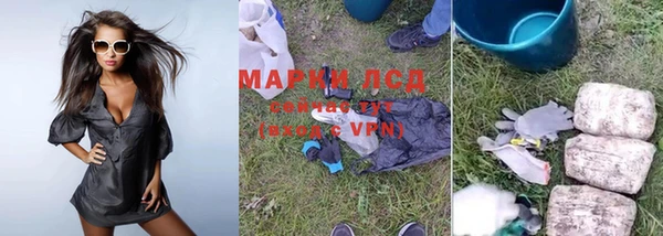 ПСИЛОЦИБИНОВЫЕ ГРИБЫ Елабуга